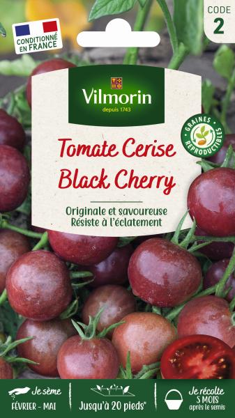 Potagères - Tomate Black Cherry - PACKAGING_RECTO